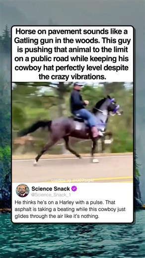 COWBOY DRIVING AT FULL SPEED