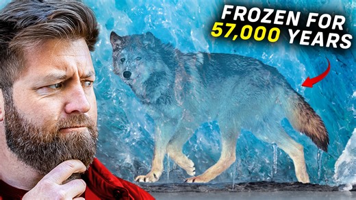 5 More Prehistoric Animals Found Frozen in Ice | Forrest Galante