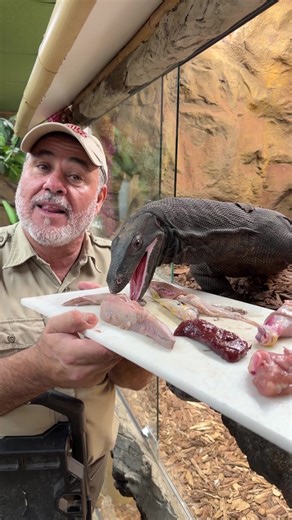 Gilly the Sweet Black Dragon's Feeding Time