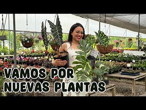 How to choose the best nursery plants so they last longer at home │Candy Bu