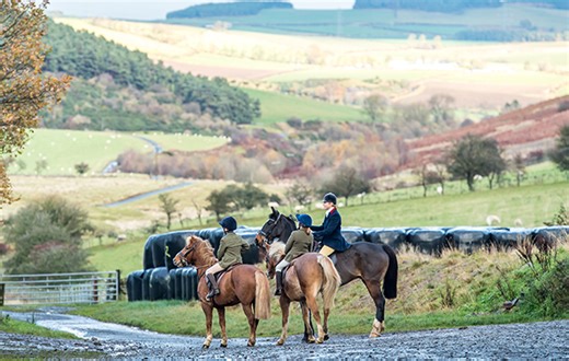 13 things all the best horsey mums and dads do for their kids