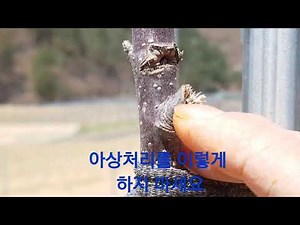 아상처리 이렇게 하지마세요