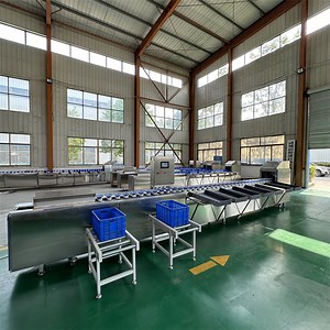 [Hot Item] Electronic Intelligent Weighing and Sorting Machine Orange and Apple Weight Grading Machine