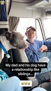 What’s your Dog’s toxic traits 😹 #dogs #doglover | Hearts of Paws