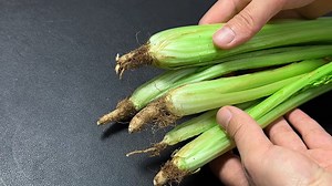 I tossed and turned at night and couldn't fall asleep. It turns out that a few celery roots can solve the problem. The method is simple, economical and practical [Baibian Xiaochufang] #Aids to sleep #Celery root magic #Baibian Xiaochufang #Healthy life #Sleep tips 夜裡翻來覆去睡不著，原來幾根芹菜根就搞定，做法簡單，省錢實用【百變小廚坊】#助眠妙招 #芹菜根妙用 #百變小廚坊 #健康生活 #睡眠小技巧 👉 按下鏈結有詳細美食教程 (Click the link to have English subtitles) https://youtu.be/Hk_BXmBlofU | 百變小廚坊 Magic Kitchen