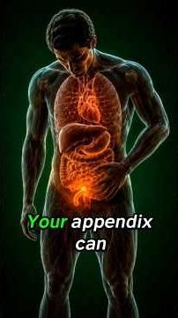 🦠 What's Happens Inside Your Body When Your Appendix Bursts?📌 😳