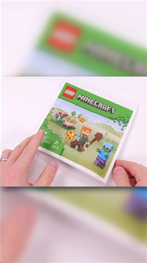 NEW $5 LEGO Minecraft Polybag for 2026?! 👀