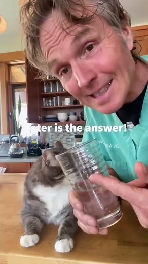 Stop Painful Cat Urinary Tract Disease