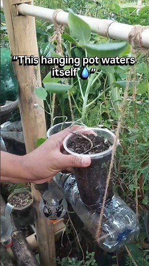 DIY Self Watering Hanging Pot Using Recycled Bottle (No Overwatering!) #gardeningtips