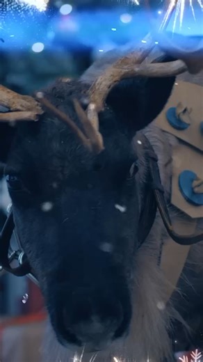 63 reactions · 19 shares | ✨Santa is bringing his REAL reindeer to...