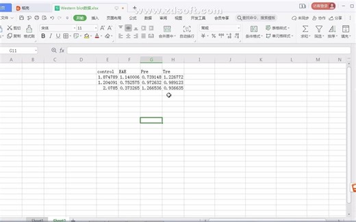 对Image J软件中计算出的Western blot灰度值处理后作图以及统计学分析