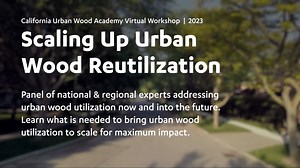 2_-_scaling_up_urban_wood_reutilization_(final) (1080p)