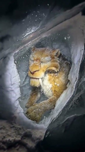 [ICE AGE]😭🥲[Watching this again feels like going back to childhood.]😭#nostalgia #iceage #edit #ai 💖🫠