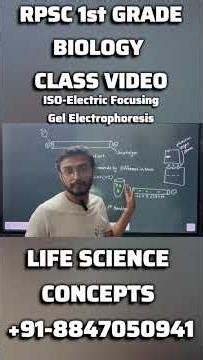 Isoelectric Focusing (IEF) Gel Electrophoresis Explained