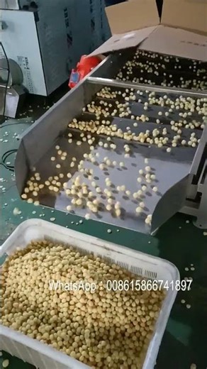 Leisure snack cheese corn ball puffing machine #machine #factory