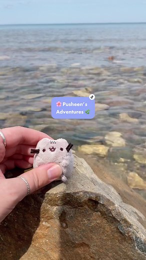 Pusheen Vacation Adventures: Traveling with a Cat Plushie