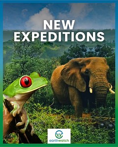 The wait is over! We are thrilled to announce two new expeditions: Restoring Habitats in Kenya's Greater Maasai Mara and Rainforest Revival in Costa Rica. We look forward to welcoming you on-site. Be among the first to join scientists as you support research and conservation in these astounding locations. ➡️ Visit our website to learn more about each expedition: https://bit.ly/43IGmh9 #Expedition #Earthwatch #VolunteerTravel #SavannaConservation #Kenya #CostaRica #Rainforest #WildlifeConservatio
