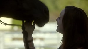 2014 Flicka Country Pride - Flicka 3 Dual Audio DVDRip XviD