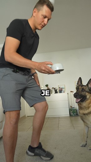 35K views · 239 reactions | vs Je fais la course avec mes chiens ... #course #chien #chiot #educationcanine #educdog | Educ Dog | Facebook