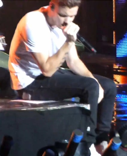 Liam and Zayn's Incredible Moments in One Direction