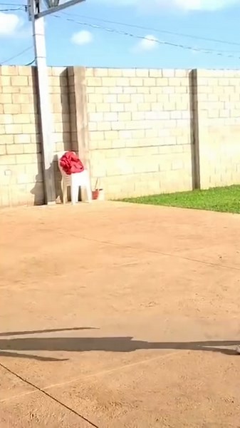 Mujeres bailando (@damaslindas)’s videos with Al Otro Lado del Sol - Los Temerarios