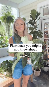 95K views · 1K reactions | Comment ‘neem oil’ if you’d like a link...