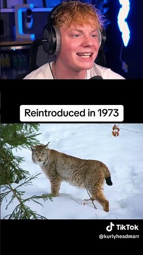 Animals That Went Extinct Then Came Back! 🤔