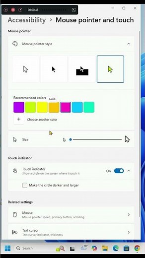 How to change Mouse color & size in windows 11