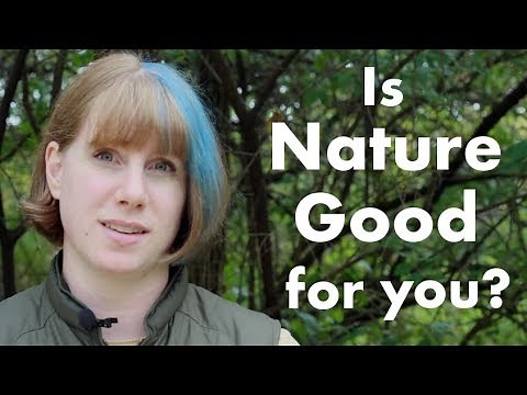 Biophilia: Is Nature Good for you?