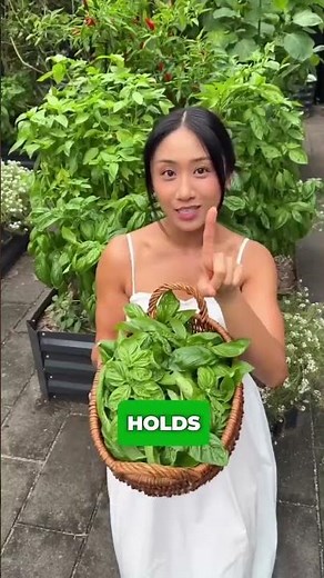 How to Get Unlimited Basil Forever (The Pruning Secret)
