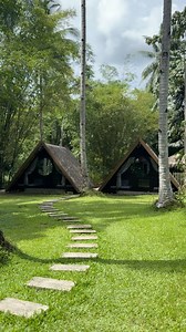 Nothing beats the feeling of waking up to the sound of birds chirping and the smell of fresh air! | Michelle Fox