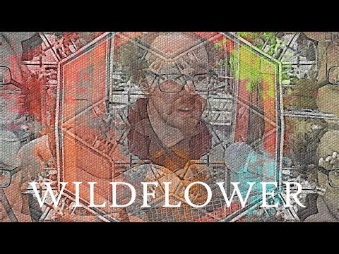 Wildflower - Original Song by Adam Herrick