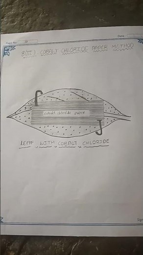 Cobalt chloride paper method