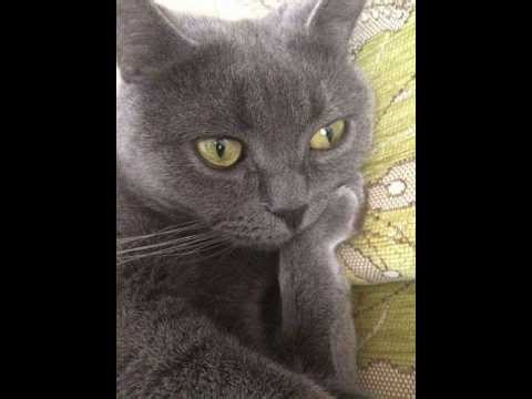 Minecraft Horror but the player is not amused (The Knocker)