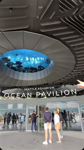 Photogenic Stroll Through Seattle’s Pike Place: Flowers, Bites, and Gum Alley