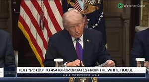 Sounds good. Now I’m working overtime to get 10 pallets into the U.S.A.It’s time you taste $MOLLY