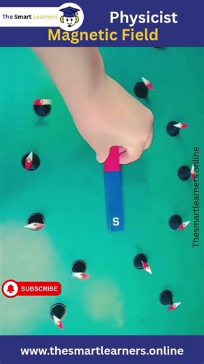 #Magnetism #PhysicsExperiment #CompassNeedle #MagneticField #ScienceReel #STEMLearning #PhysicsClass