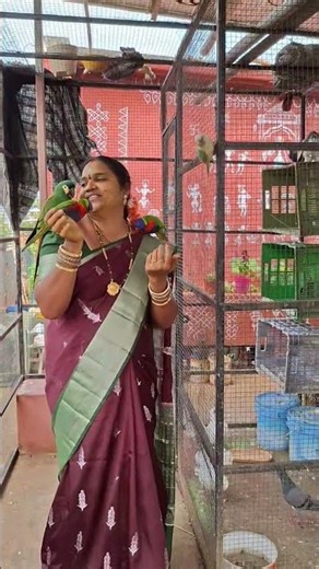 #birds #shorts #ytshorts #trending