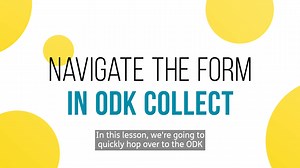 6. Navigate the form in ODK Collect