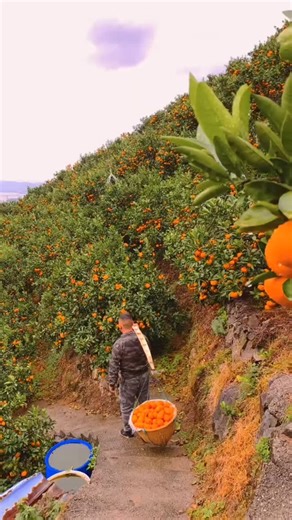 SINGOLI AEDITS | plant potter , plant you , plant based bride , plant to be , plant tour , plant based , plant crochet , plant based couple , plant... | Instagram