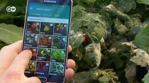An app to control plant diseases