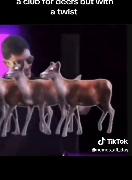 Deer Madness: A Collection of Deer Memes and Animations