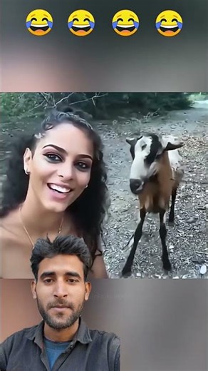 kreji Epic fail#funnyvideo #comodyvideo #kreji #fail