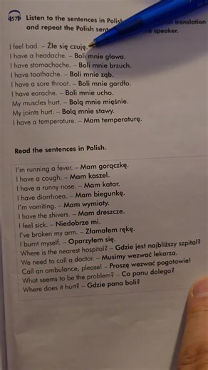 Polish Language Basics: Simple Sentences for Beginners