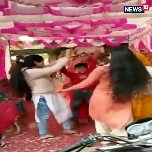 Many pet owners in India are marrying off their dogs and in one such recent incident, a seven-month-old female dog Jelly got hitched to Tommy in Uttar Pradesh's Aligarh on Saturday with rituals of a traditional Indian wedding. #Aligarh #DogWedding #AnimalVideo #Dogs #Wedding | News18