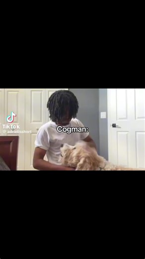 #cogman #foryou #transformers #fyp #zxycba | transformers