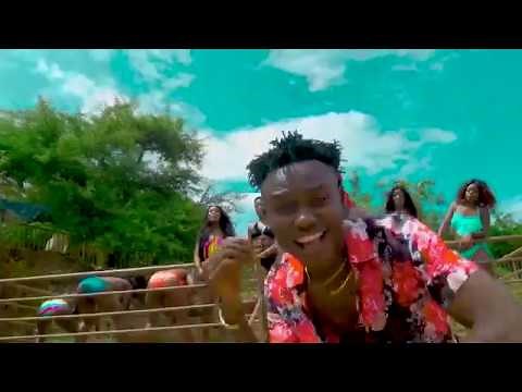 Rich Bizzy ft Dj Cent - Bend Down (Official Video)
