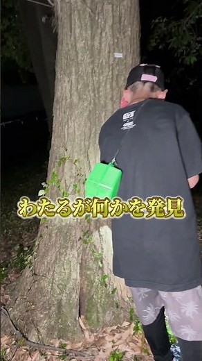 夜の公園で昆虫採集 #昆虫採集#昆虫 #わくわく探検隊 #クワガタ #カブトムシ