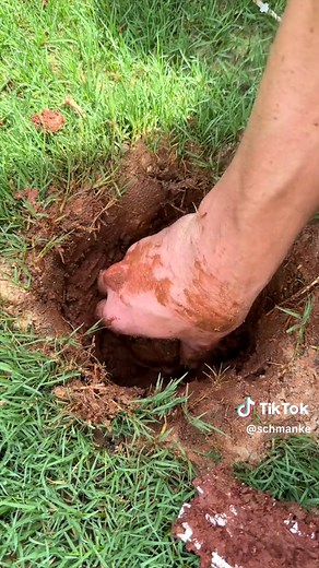 How to Replace a Broken Sprinkler Head in 5 Minutes DIY