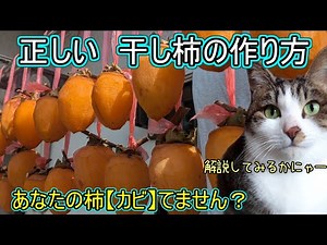 【カビ】絶対付けない、干し柿の作り方